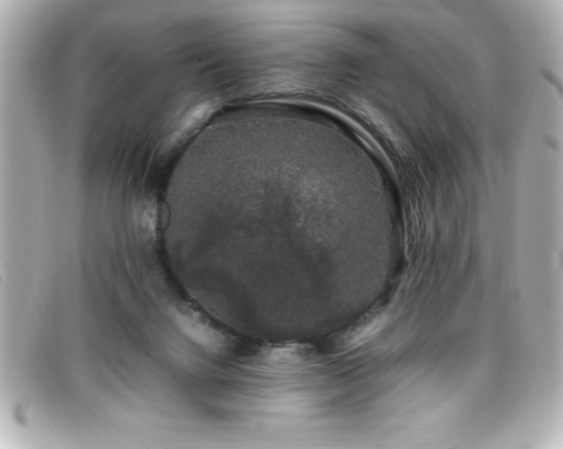 X0000099470072200805091556