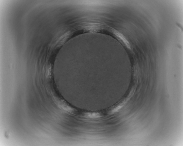 X0000099470073200805091556