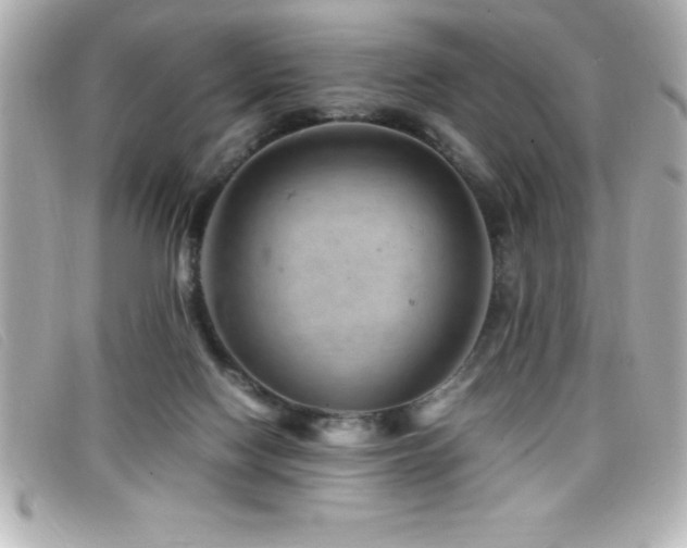 X0000099470074200805091556