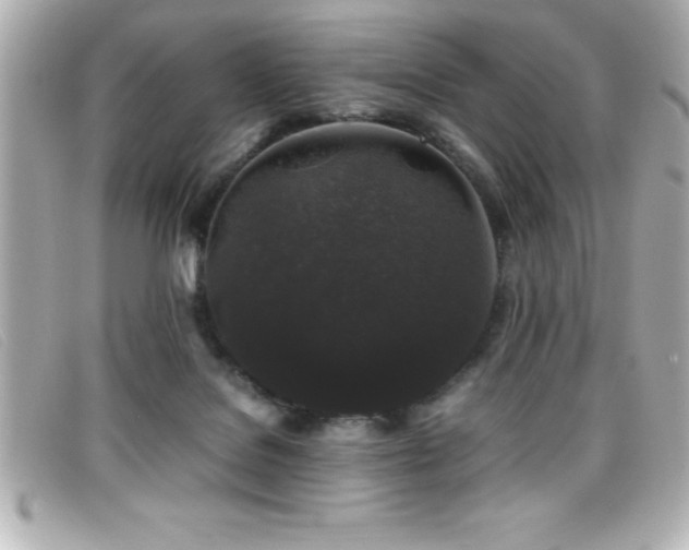 X0000099470076200805091556