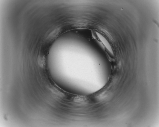 X0000099470077200805091556