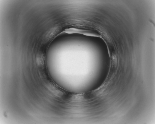 X0000099470078200805091556