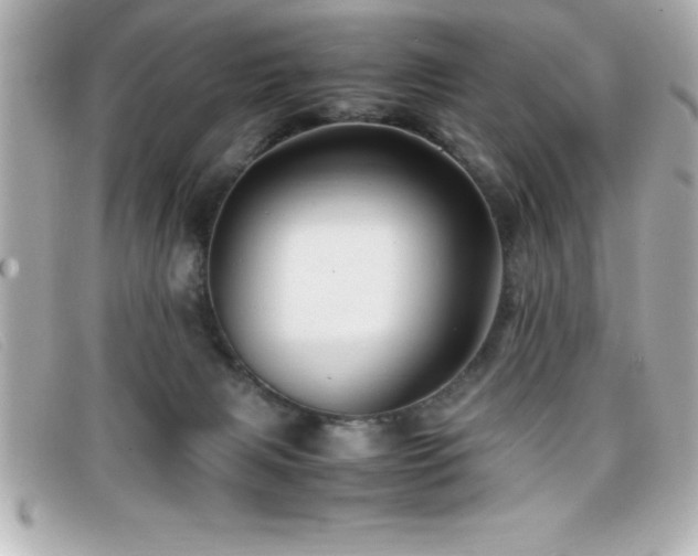 X0000099470079200805091556