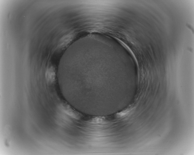 X0000099470080200805091556