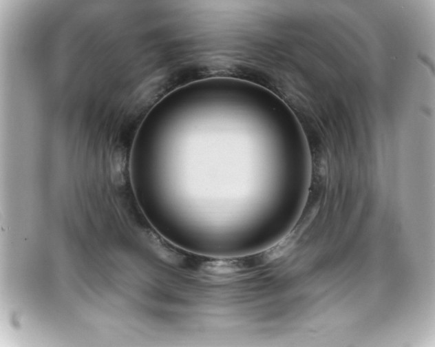 X0000099470082200805091556