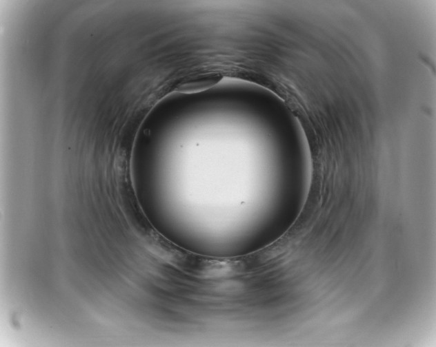 X0000099470083200805091556