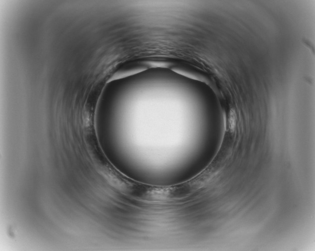 X0000099470084200805091556
