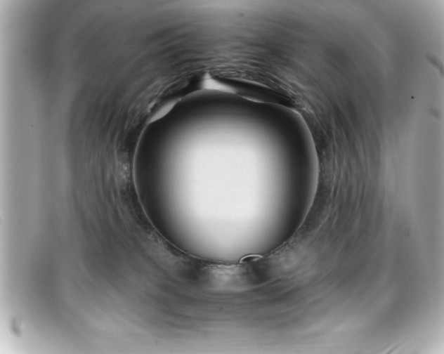 X0000099470085200805091556