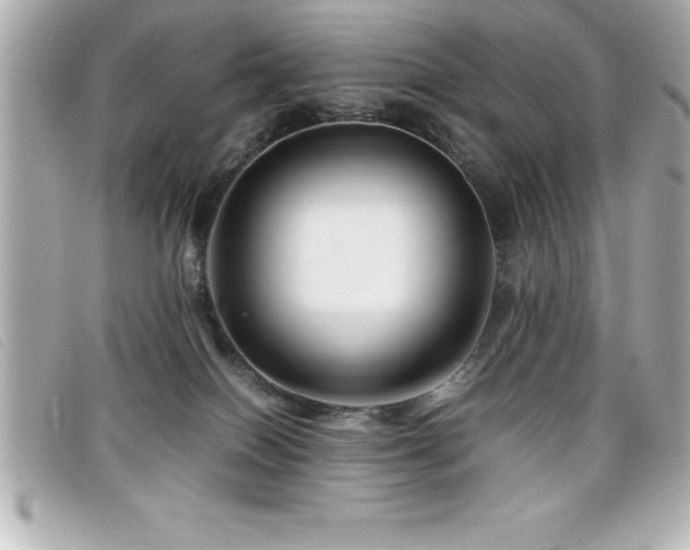 X0000099470086200805091556
