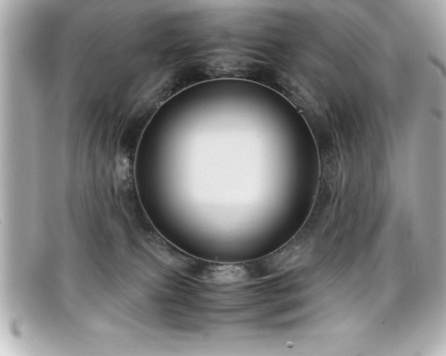 X0000099470087200805091556