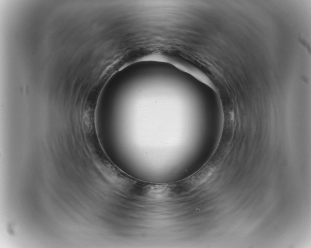 X0000099470088200805091556