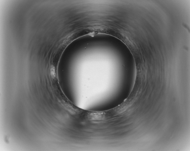 X0000099470089200805091556