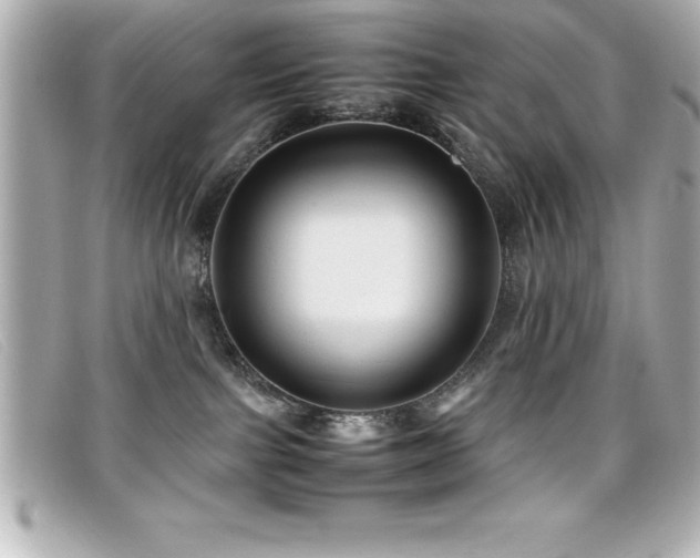 X0000099470091200805091556