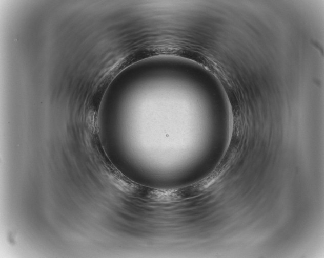 X0000099470093200805091556