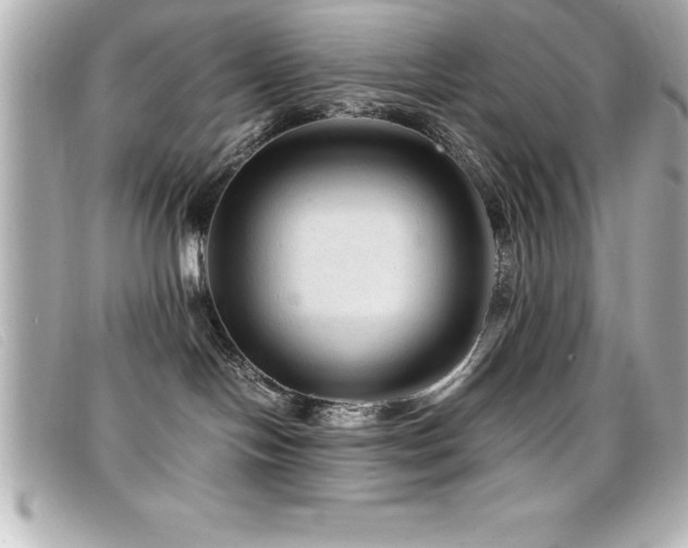 X0000099470094200805091556