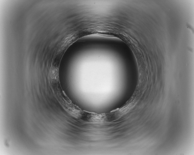 X0000099470096200805091556