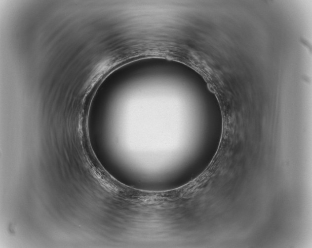 X0000099470098200805091556