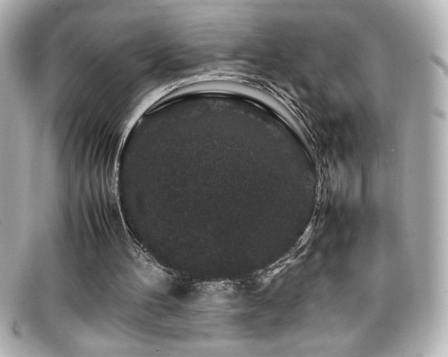 X0000099470100200805091556