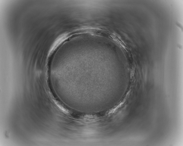 X0000099470101200805091555