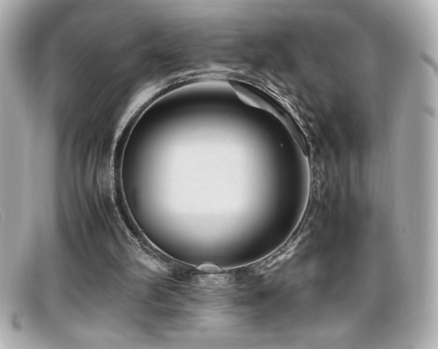 X0000099470102200805091555