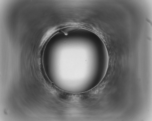 X0000099470103200805091555