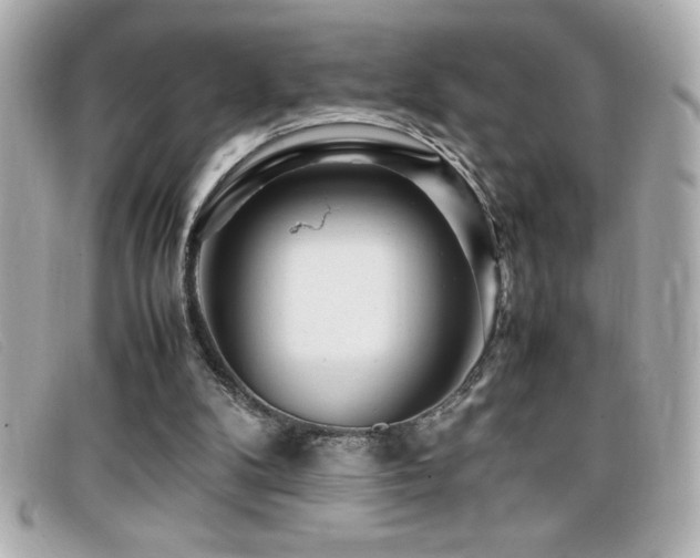 X0000099470104200805091555