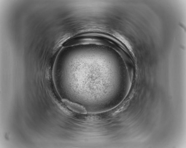 X0000099470105200805091555