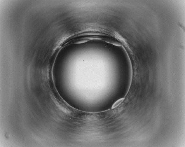 X0000099470106200805091555