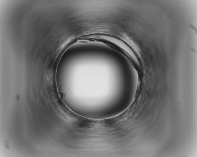 X0000099470107200805091555