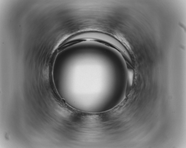 X0000099470108200805091555