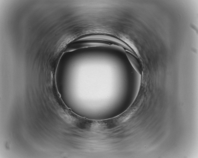 X0000099470109200805091555
