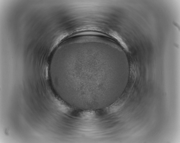 X0000099470110200805091555