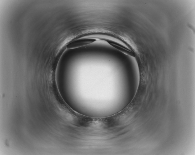 X0000099470111200805091555