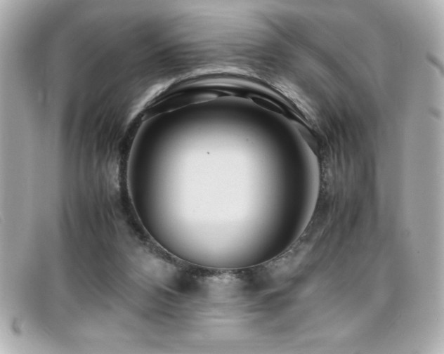 X0000099470112200805091555