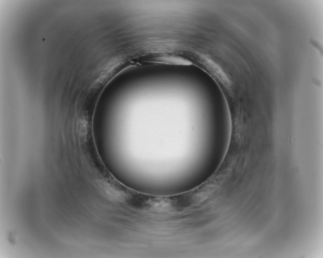X0000099470113200805091555