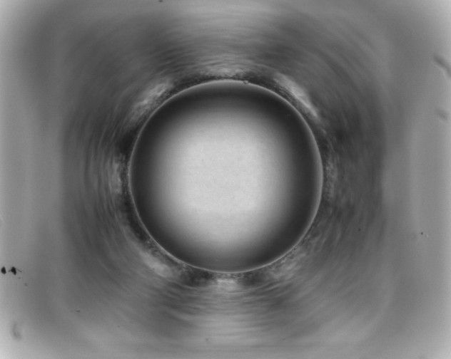 X0000099470114200805091555