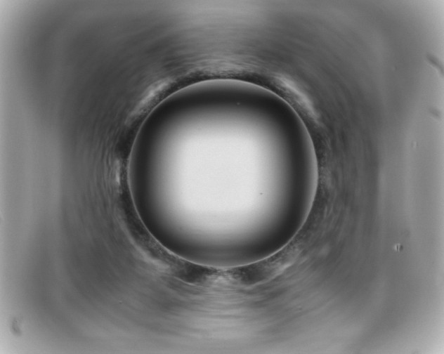 X0000099470115200805091555