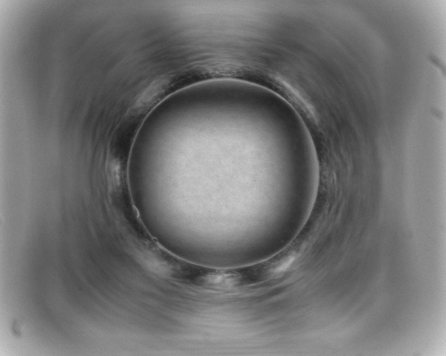 X0000099470117200805091555