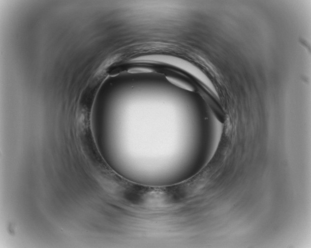 X0000099470119200805091555