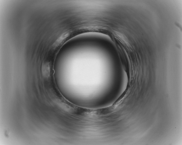 X0000099470120200805091555