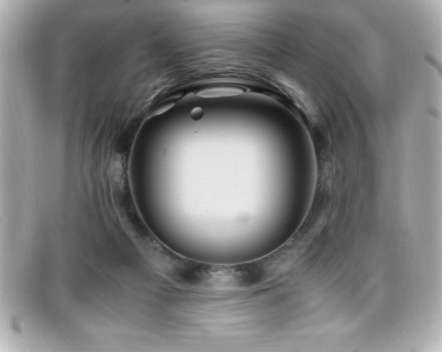 X0000099470121200805091555