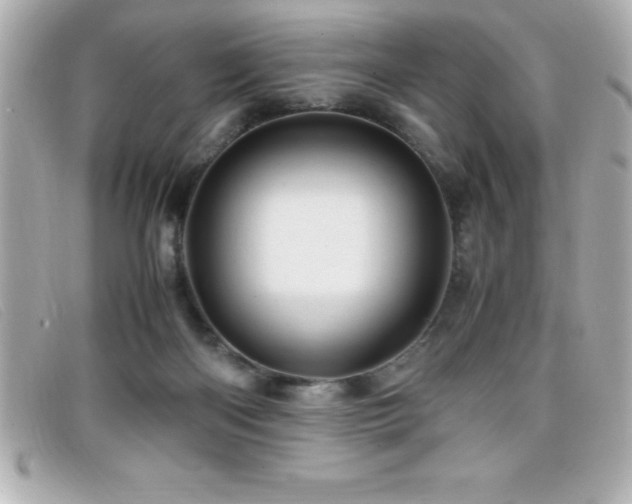 X0000099470122200805091555