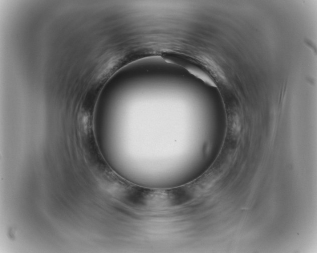 X0000099470123200805091555