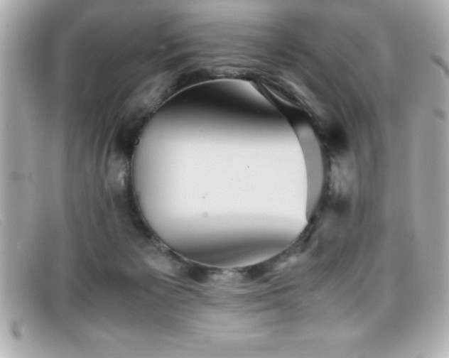 X0000099470125200805091555