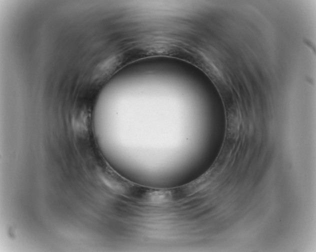 X0000099470126200805091555