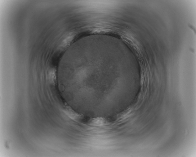 X0000099470127200805091555