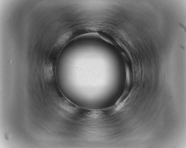 X0000099470128200805091555