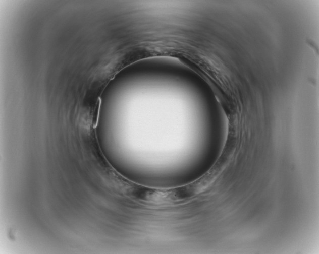 X0000099470129200805091555