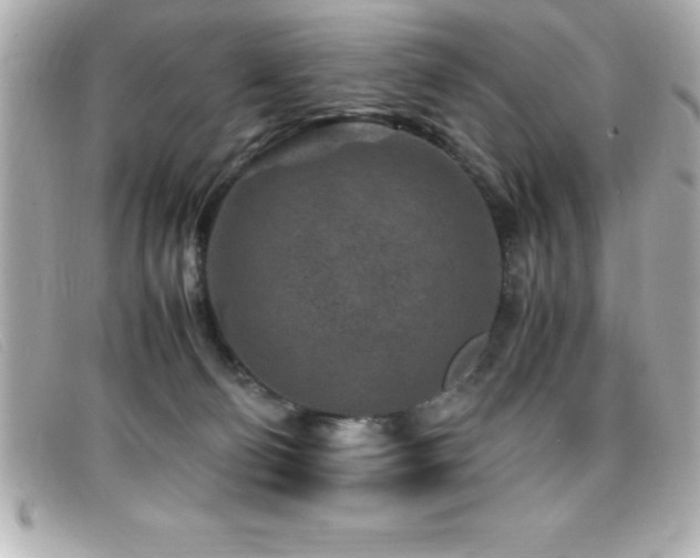 X0000099470130200805091555