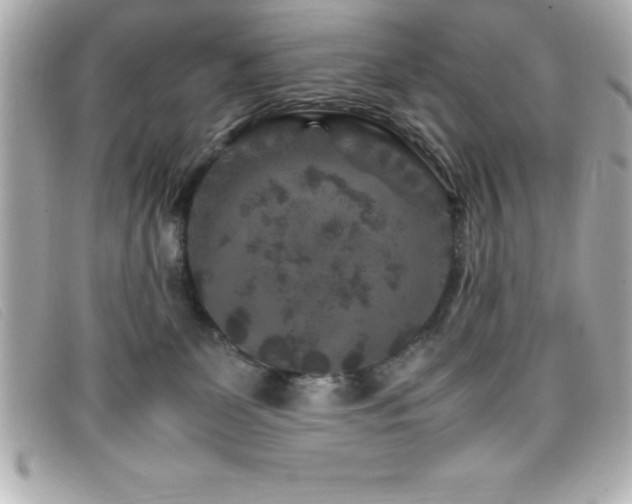X0000099470131200805091555